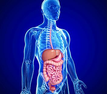Gastroenterologia
