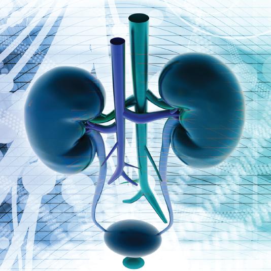 Urologia